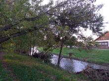 Baum liegt gefährlich 