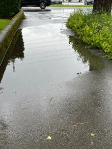 Bei Regen immer ein See und Behinderung