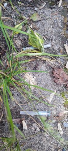 Nadeln nicht im Heuhaufen sondern am Spielplatz gefunden 