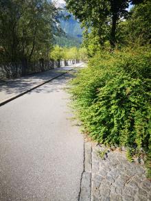 Hecken am Innradweg