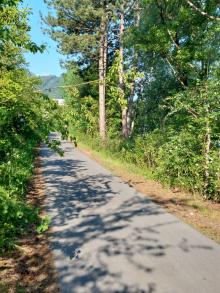 Radweg Rechte Innseite: Sträucher behindern