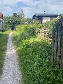 Ausmähen des Serlesweges Richtung Eichlerstraße in Igls