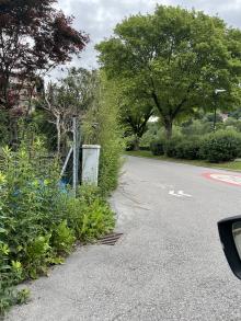 Sträucher behindern Sicht auf Kreuzung Uferstrasse 80