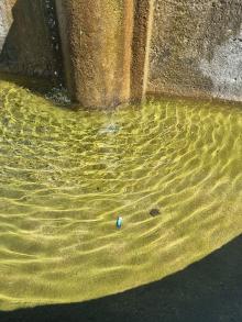 Batterien im Brunnenwasser am Haydnplatz