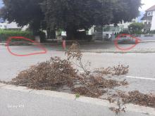 Unmengen von Ästen vom letzten Unwetter auf der Strasse.