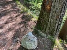 Steinschlag am Wilhelm Greil-Weg