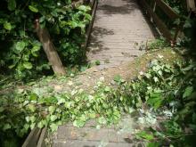 Baum liegt auf Brücke nahe der Grillhütte