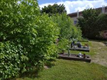 Friedhof Östringen