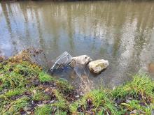 Einkaufswagen in der Ach