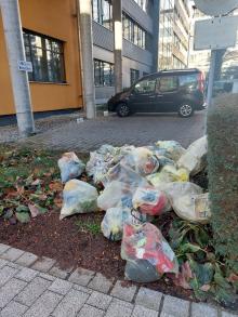 Gelbe Säcke in der Wehrdstr