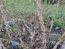 Städtisches Grundstück - Garten vermüllt