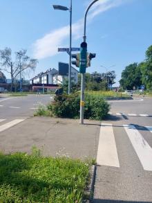 Rückschnitt erforderlich am Kreisverkehr Steißlinger Str. (Radrennbahn)