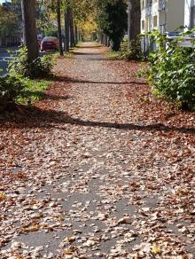 Gehweg Widerhold-Straße 