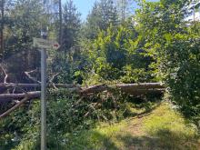 Laufmeile versperrt durch Sturm