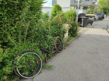 Kaputtes Fahrrad an der Hecke