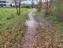 Schotterweg bei Madersbacherweg verschlammt